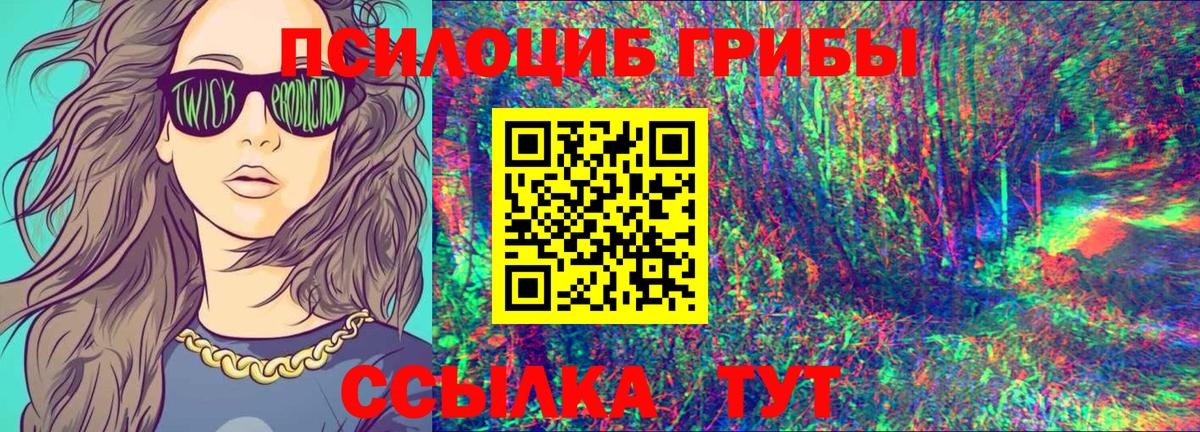 Рузаевка  Псилоцибиновые грибы Psilocybine cubensis  Вход с VPN 